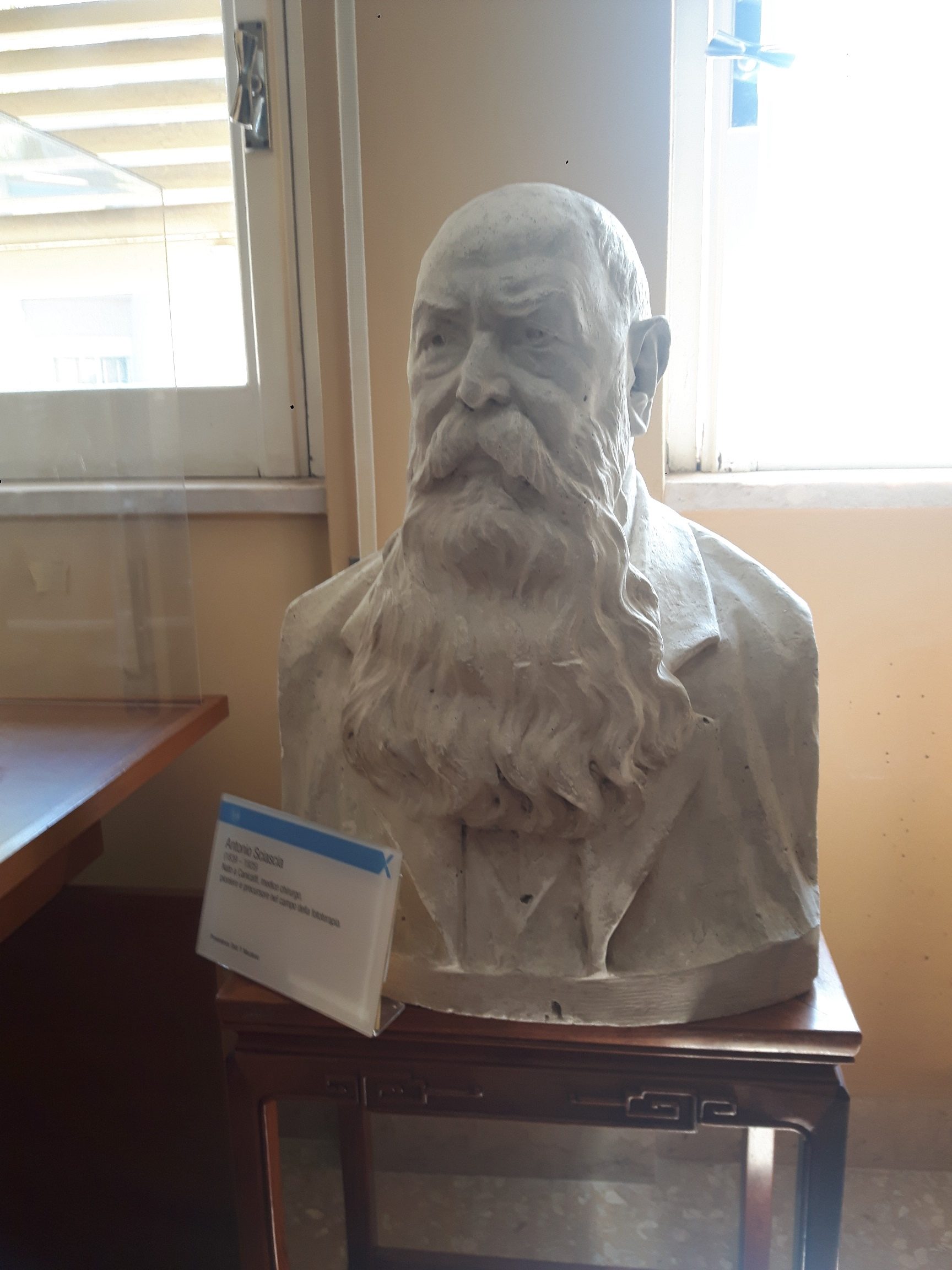 Antonino Sciascia's bust, Museo della Radiologia, Palermo.jpg